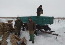 Під Полтавою ставили «хатки» для диких качок