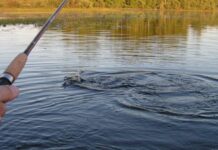 З 1 квітня на Полтавщині розпочинається нерестова заборона