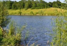 Санітарний стан ставків у Полтаві