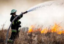 Горять луки та болота на Полтавщині