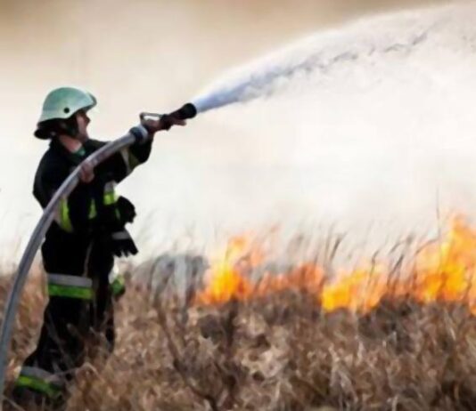 Горят луга и болота на Полтавщине