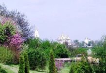 Полтавский ботанический сад в разные времена года