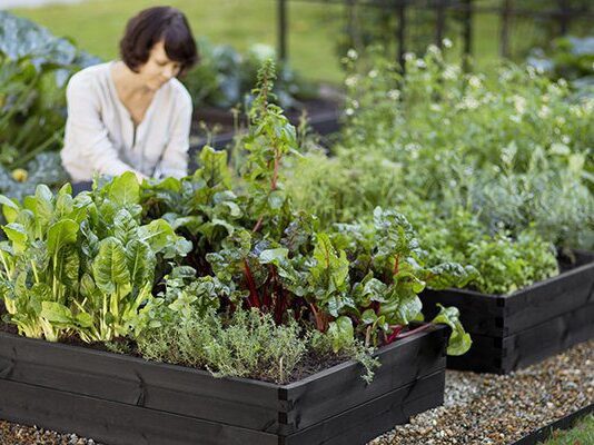 Основные правила использования гербицидов