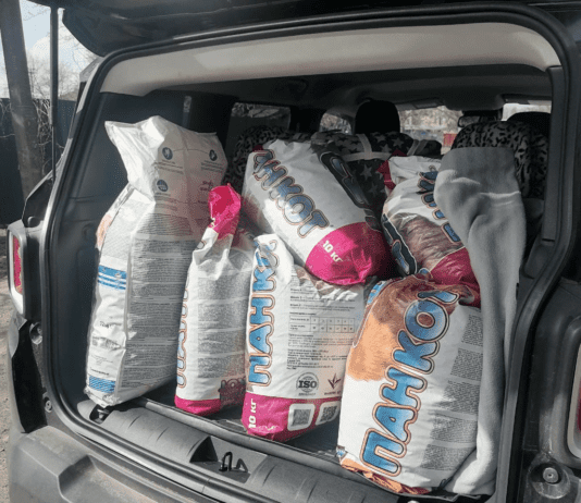 Как полтавские волонтеры помогают животным, пострадавшим от войны