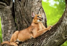 Цікаві околиці Полтави: куди поїхати на екскурсію?