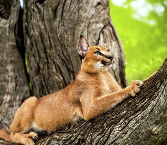 Интересные окрестности Полтавы: куда поехать на экскурсию?