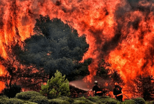 Лесные пожары на Полтавщине: причины и как их предотвратить