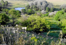 Історія заповідних територій Полтавщини