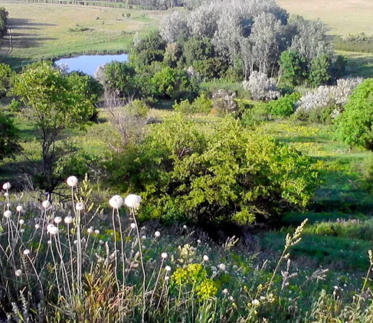 История заповедных территорий Полтавщины