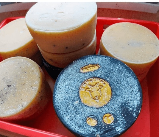 «Сыровары прекрасно зарабатывают и я могла бы это делать, но выбрала совершенно другой путь»