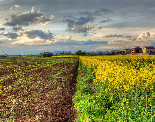 Чому міф про вивезення чорнозему нацистами – маячня, та як нам зберегти родючість полтавських земель