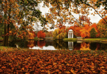 Полтавський дендрологічний парк – найбільший природний та культурний потенціал регіону