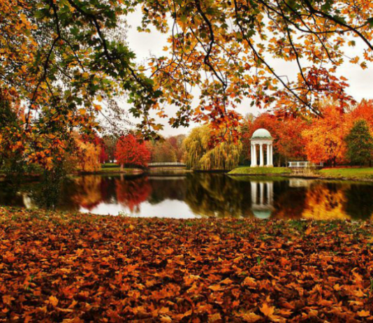 Полтавский дендрологический парк – наибольший природный и культурный потенциал региона