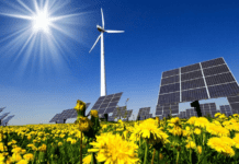 Паливна незалежність досяжна – успіхи альтернативної енергетики на Полтавщині