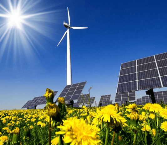 Паливна незалежність досяжна – успіхи альтернативної енергетики на Полтавщині