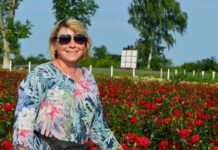 Мільйон різних троянд: унікальне поле в Полтавській області