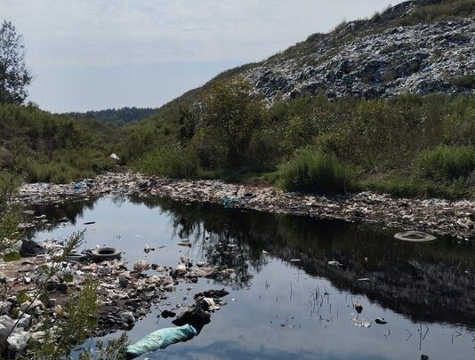 Макухівське звалище: історія та основні проблеми