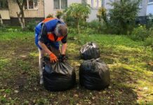 Замість листя добриво чи боротьба з листопадом по-полтавськи