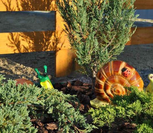 Полтавські равлики або історія розвитку унікальної ферми