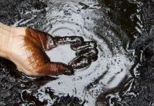 “Прибуткові” корисні копалини Полтавщини