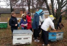 Найсолодший навчальний заклад України або історія Гадяцької школи бджільництва