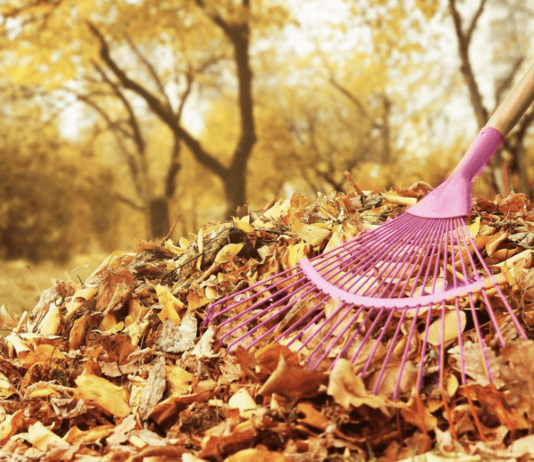 Опале листя. Де поставити кому: палити не можна використовувати?