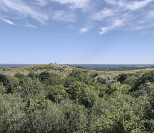 Курортна зона в смт Опішня