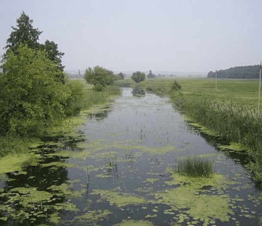 Экопросвещение в Полтаве