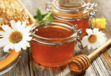 Унікальна школа бджільництва на Полтавщині – єдина в Україні