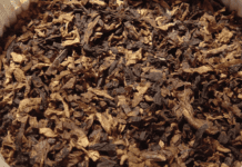 “Створений у таємничих печерах”: тютюнові фабрики Кременчука та їх власники