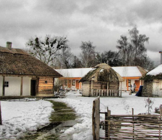 Як у Полтаві опалювали будинки 100 років тому?