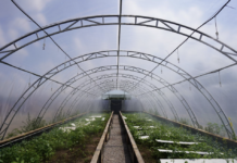 Ферма «Лісовий равлик» під Полтавою: екскурсії, делікатеси та гарні враження