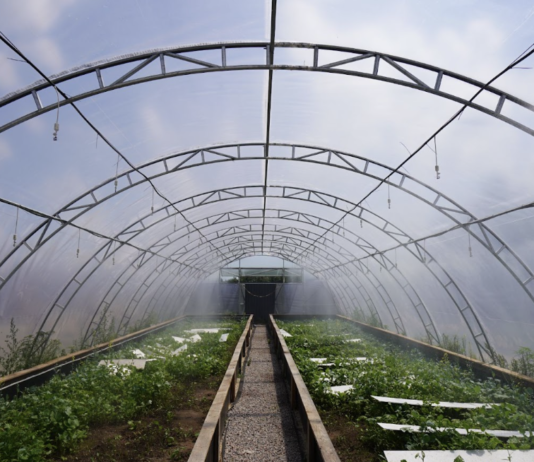 Ферма «Лісовий равлик» під Полтавою: екскурсії, делікатеси та гарні враження