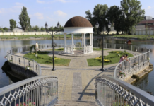 Кременчуцька перлина: чому варто відвідати Міський сад?