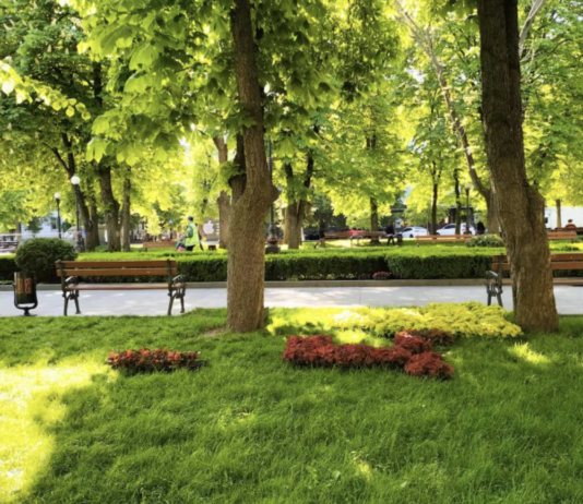 Сквер імені Олега Бабаєва: як зелений куточок став символом вшанування видатного мера?