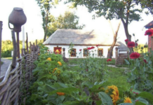 Зелений туризм і його вплив на екологію Полтавщини