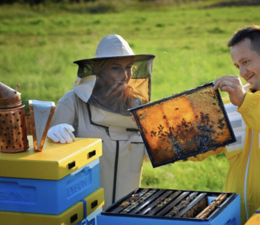 Інновації у бджільництві Полтавщини: сучасні технології та тренди
