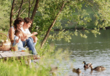 Комфорт та природа: найкращі бази відпочинку Полтавщини