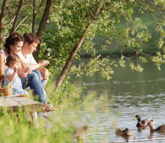 Комфорт та природа: найкращі бази відпочинку Полтавщини