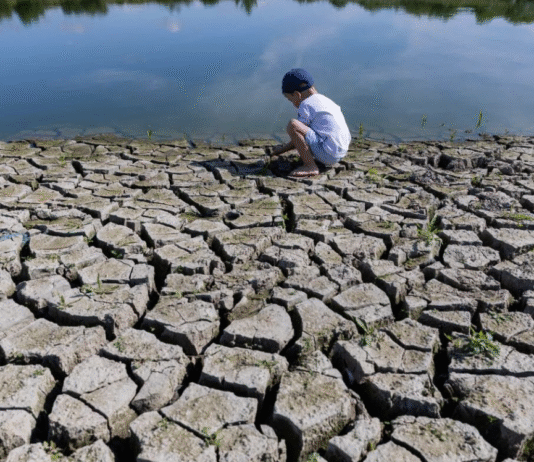Як Полтава бореться зі змінами клімату?
