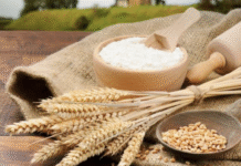 Борошномельно-круп’яна промисловість Полтавщини та перші млини: як змінилася галузь?