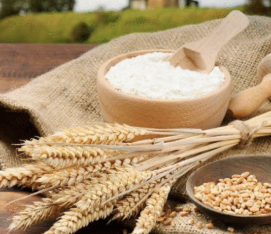 Борошномельно-круп’яна промисловість Полтавщини та перші млини: як змінилася галузь?