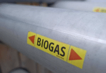Біогаз на Полтавщині: як аграрні відходи перетворюють на енергію