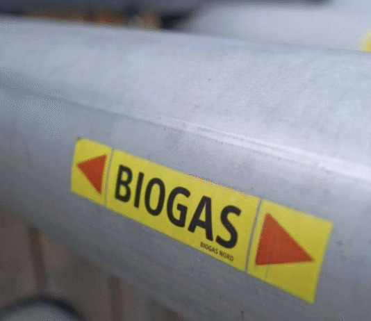 Біогаз на Полтавщині: як аграрні відходи перетворюють на енергію